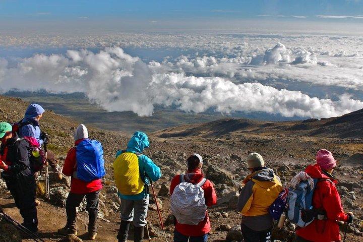 CLIMB THE KILIMANJARO rongai route