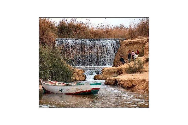 Day Tour To Fayoum Oasis From Cairo