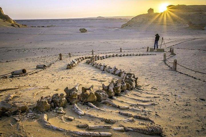 Day Tour To Fayoum Oasis From Cairo