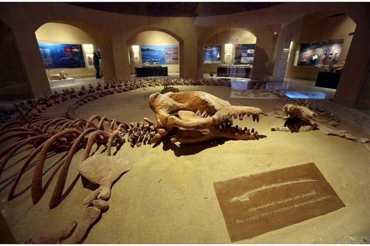 Day Tour To Fayoum Oasis From Cairo