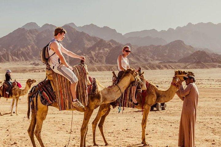 Hurghada: Jeep Safari, Camel Ride & Bedouin Village Tour