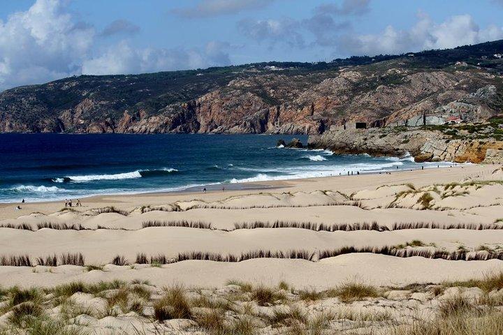 Discover Sintra and Cascais by comfy van - Private Full Day Tour
