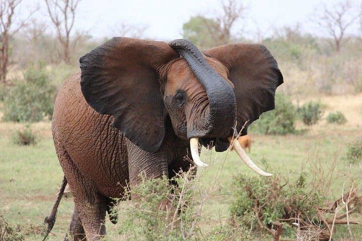 9 Days Kenya Tanzania Joining Tour