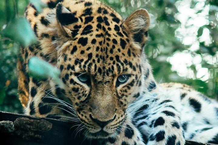 3 Days Masai Mara Joining Tour