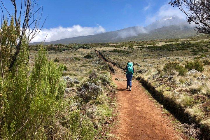 Kilimanjaro: Lemosho Route
