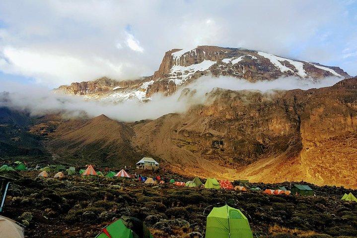 Kilimanjaro: Lemosho Route