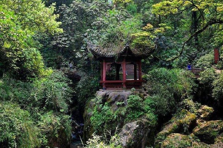 2 Days Chengdu Panda Base, Leshan Giant Buddha and Mt.Emei Group Tour