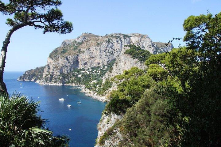 Shared Capri & Anacapri Full-Day Tour from Sorrento