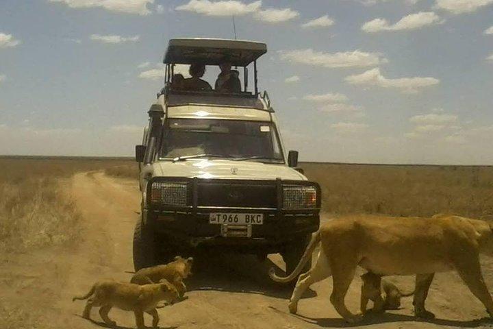 12 Days Wildlife Safaris And Culture Tour