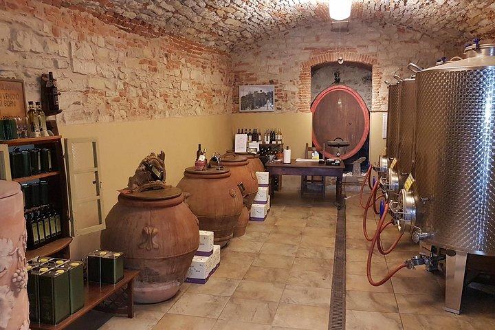 Wine Tour of two Chianti wine estates on the hills of Florence