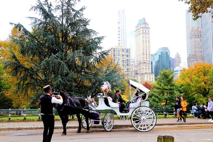 NYC Central Park Horse Carriage Ride (Up to 4 Adults)