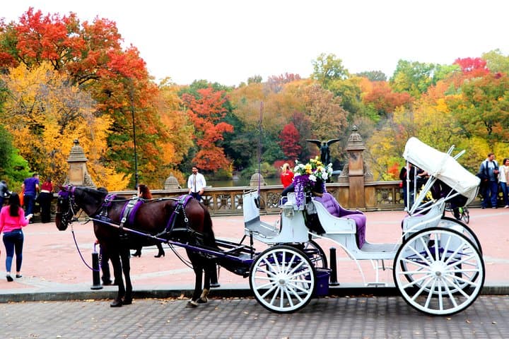 NYC Central Park Horse Carriage Ride (Up to 4 Adults)