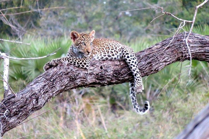 Tanzania Family Safari Adventure