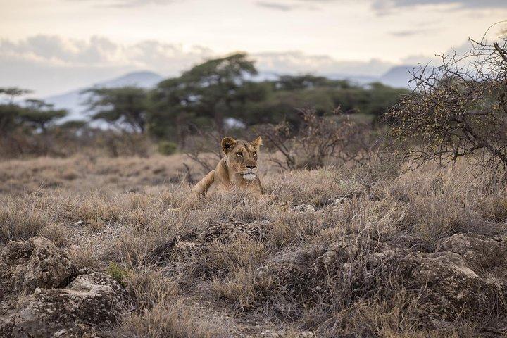 Day Trip - Tarangire National Park