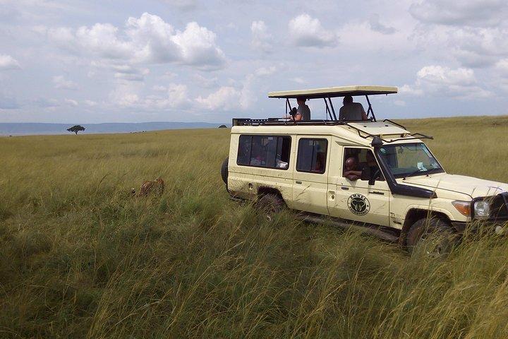 Day Trip - Tarangire National Park