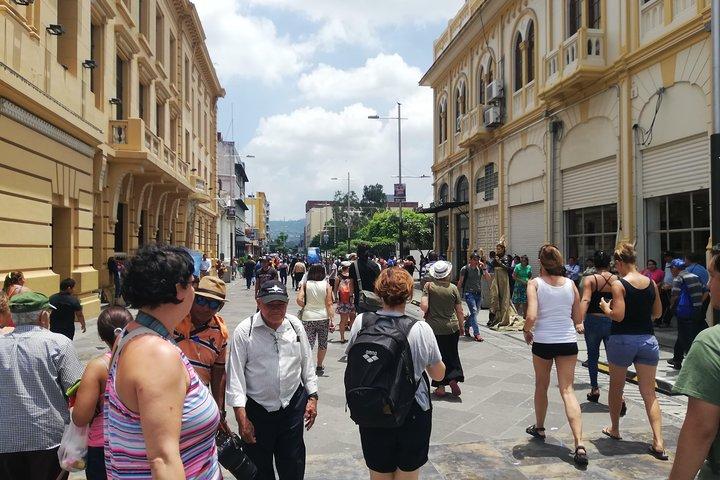 6-Day West El Salvador: Cerro Verde, Coffee Route, Maya Ruins
