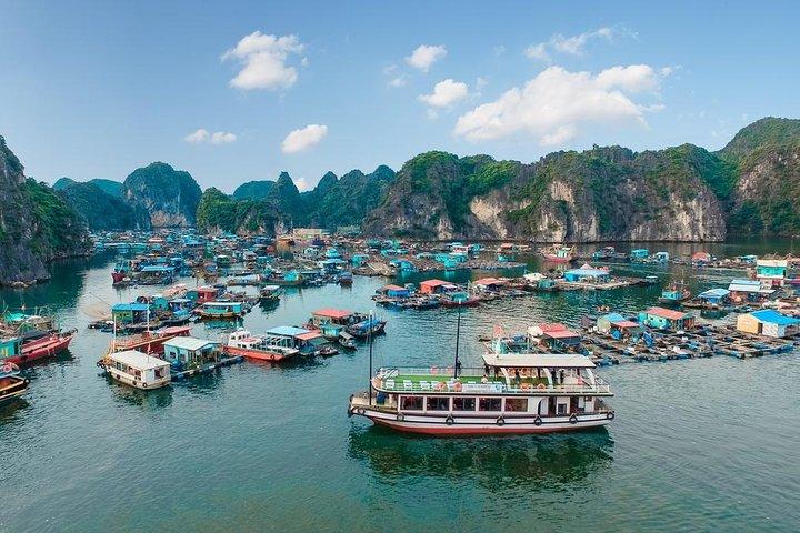 Lan Ha Bay day trip join small group & transfer express highway
