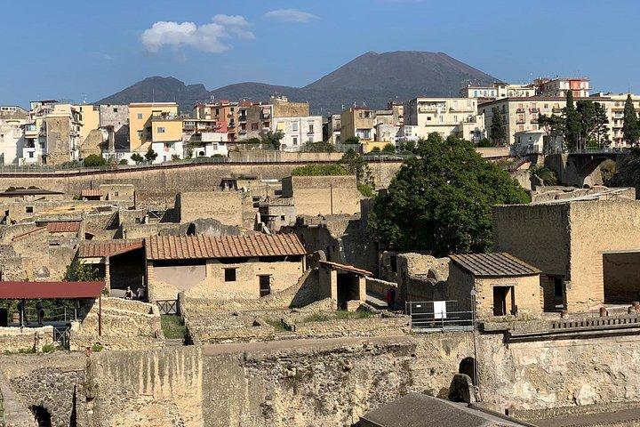 Exclusive Herculaneum tour with Expert!