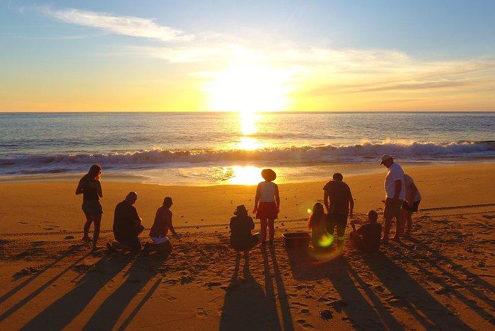 Cabo Turtle Release