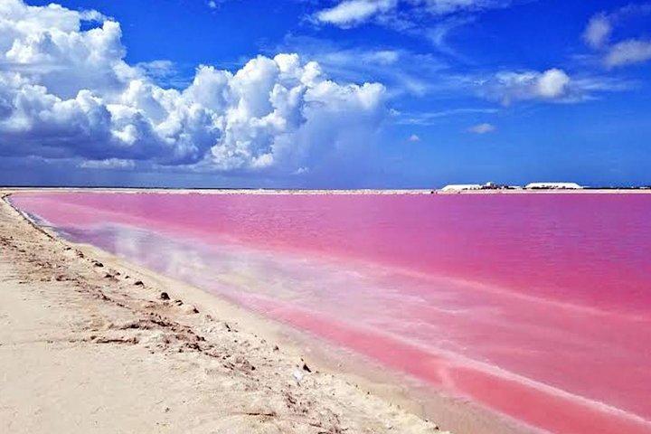 Adventour Day: Coloradas and Rio Lagartos Excursion from Cancun!