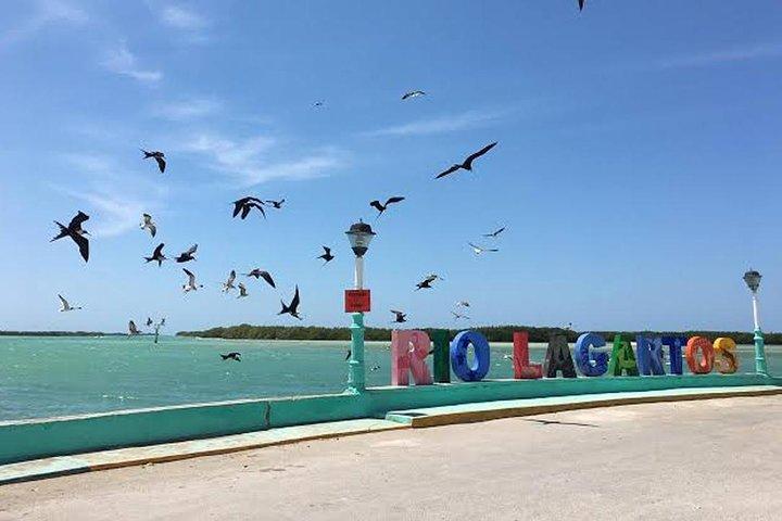 Adventour Day: Coloradas and Rio Lagartos Excursion from Cancun!