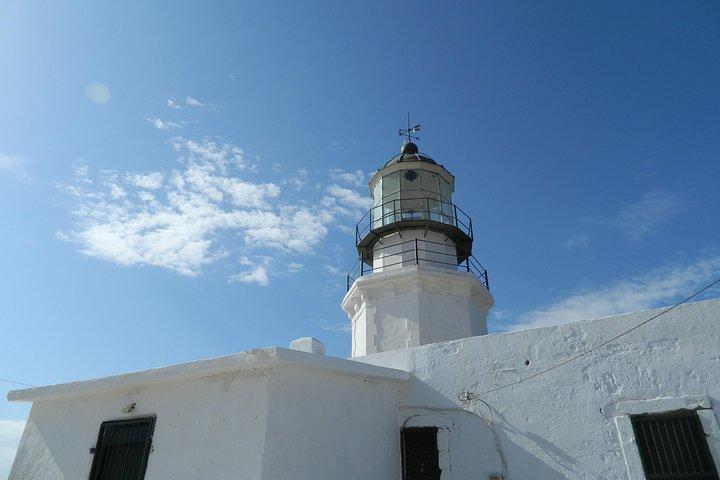 Mykonos Wild Experience Tour
