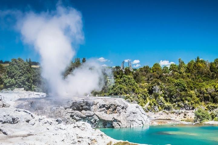 Rotorua Full Day Private Tour from Auckland