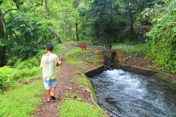 North Lombok Waterfalls