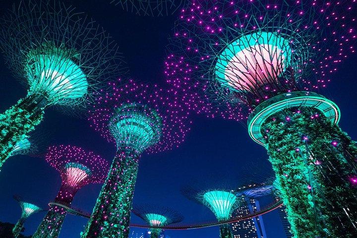 Private Tour: Nighttime Sightseeing with River Cruise
