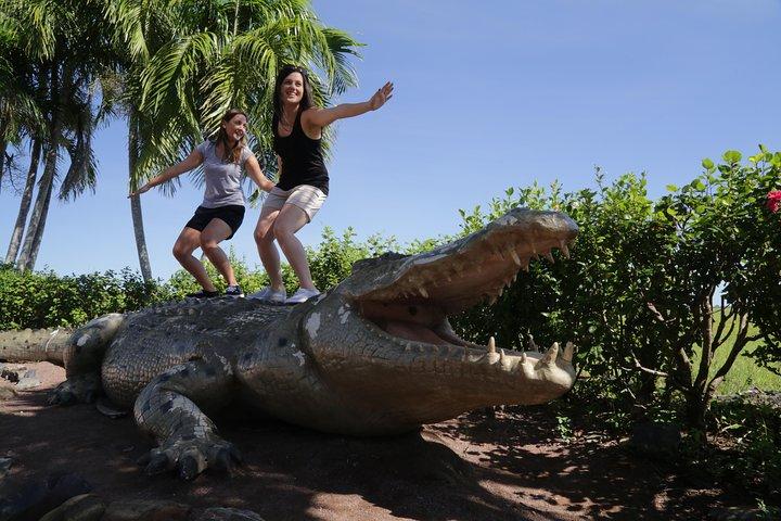 Darwin: Adelaide River Jumping Crocodile Cruise