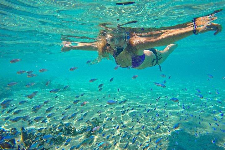Raya and Coral Island Tour