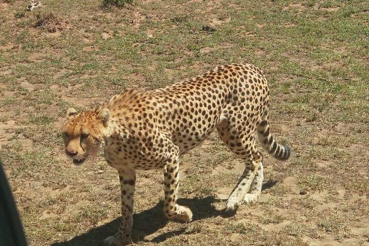3 day Maasai Mara Adventure Group Safari