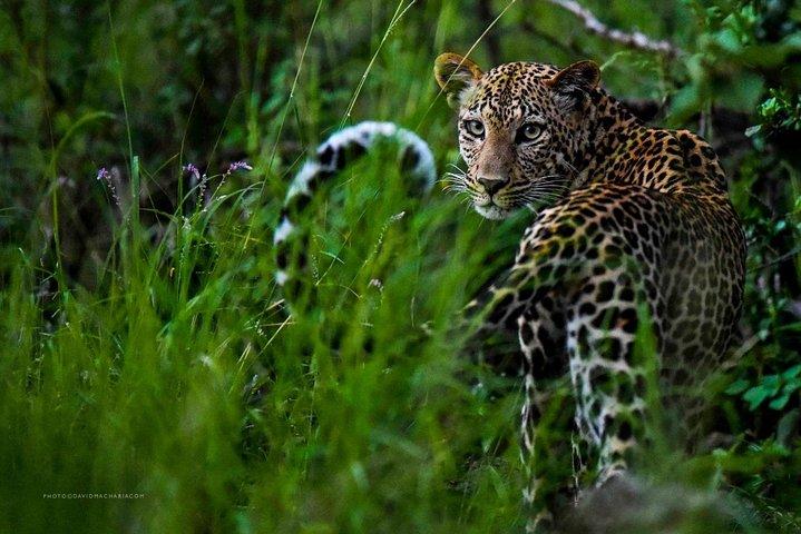 3 day Maasai Mara Adventure Group Safari