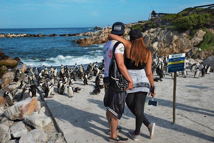 Best of Cape Town Full-Day Private Tour with Table Mountain