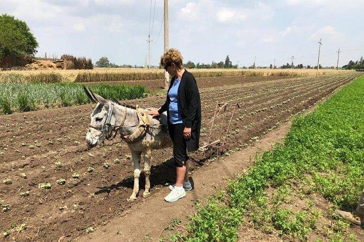 Egypt Day tour in countryside