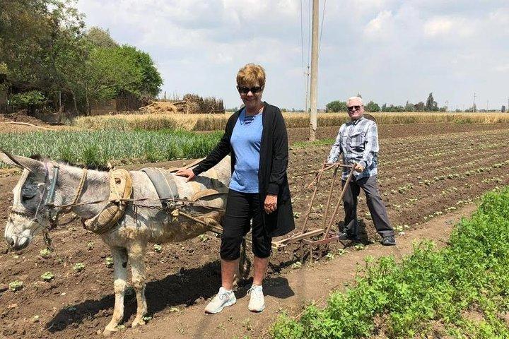 Egypt Day tour in countryside