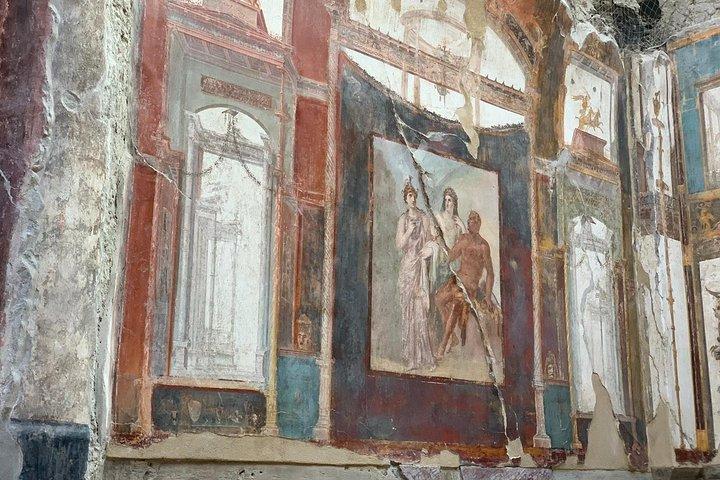 Exclusive Herculaneum tour with Expert!
