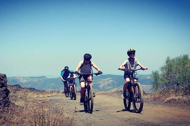 Mount Etna E-bike half-day tour