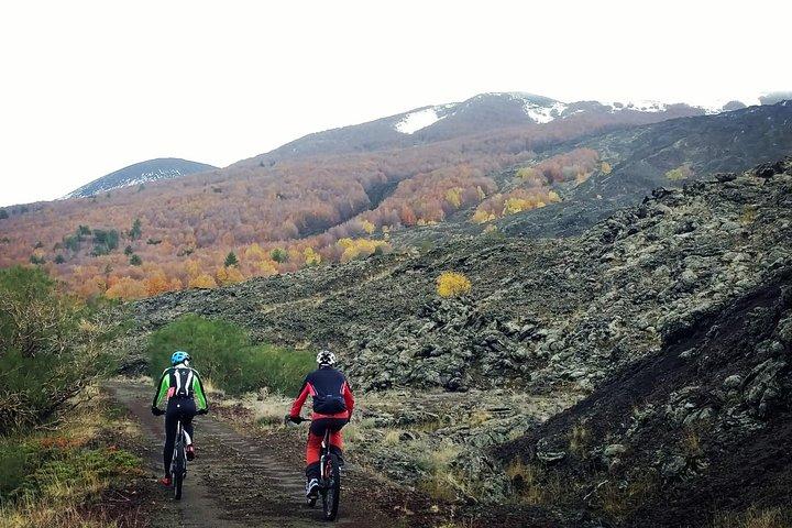 Mount Etna E-bike half-day tour