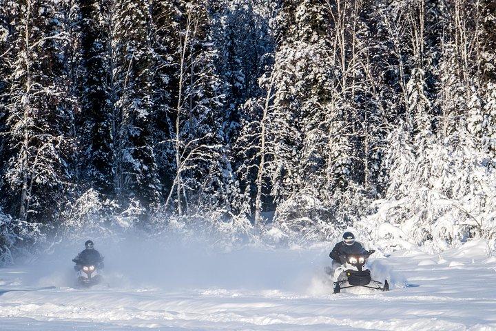 Guided Fairbanks Snowmobile Tour