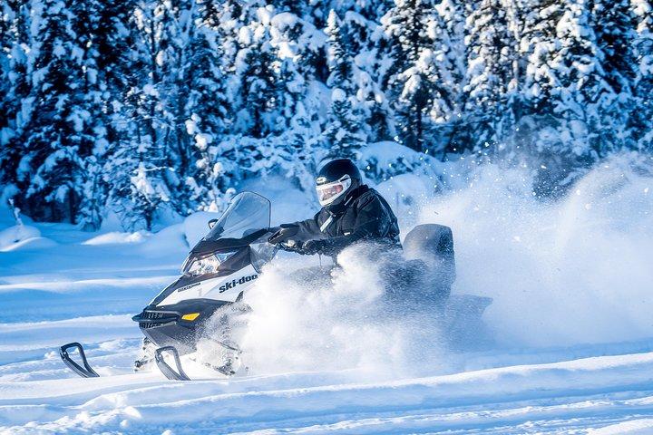 Guided Fairbanks Snowmobile Tour