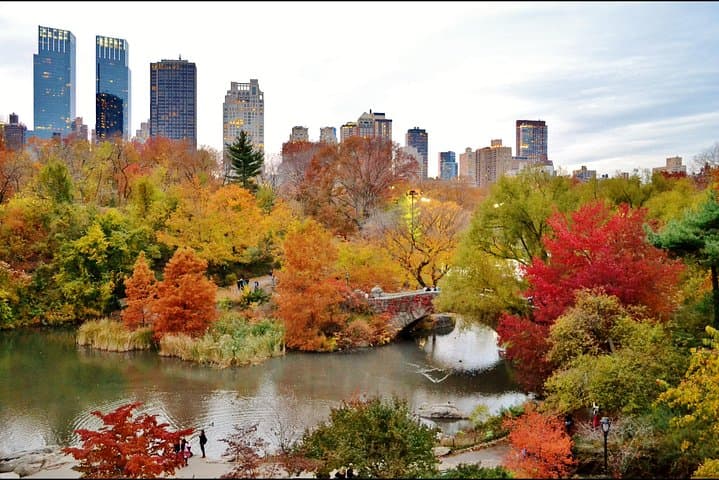 New York City Tour with Driver-Guide and Separate Guide Option