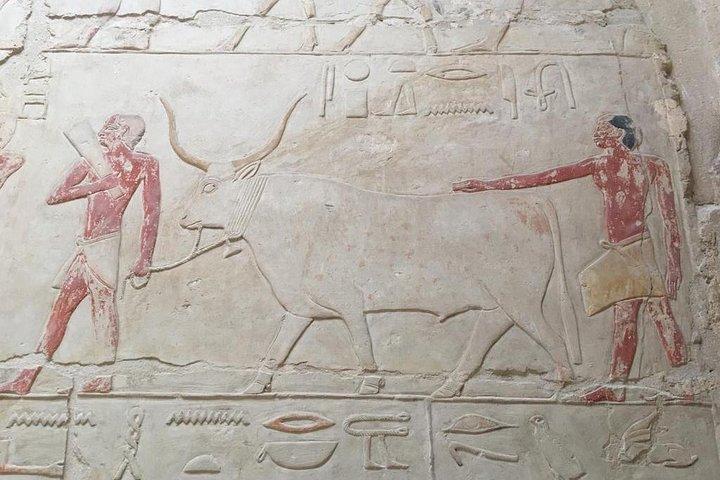 Private tour to The Egyptian Museum including Transportation and Lunch
