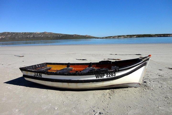 Cape West Coast Full Day Private Day Tour