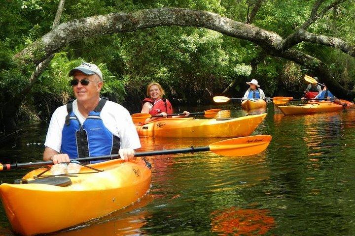 Amelia Island Area Kayak Rental on Lofton Creek with Adventures Up The Creek