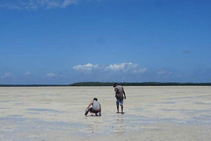 Sunset Mangrove Canoe Tour with Coconut Drink