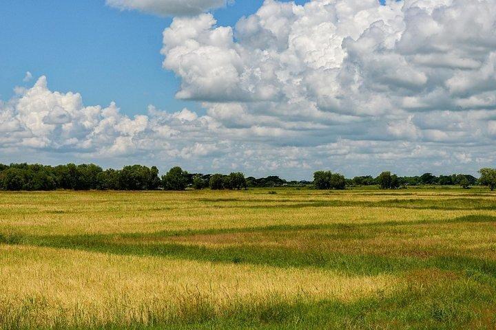 Bago by Train: Full-day sightseeing tour