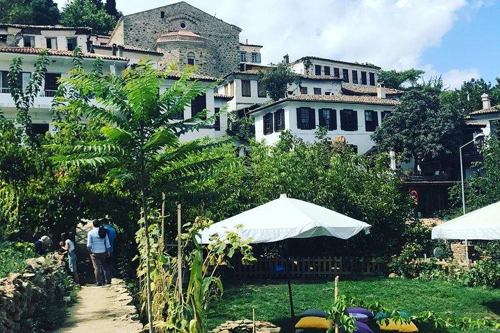 Izmir City Tour with Private Guide