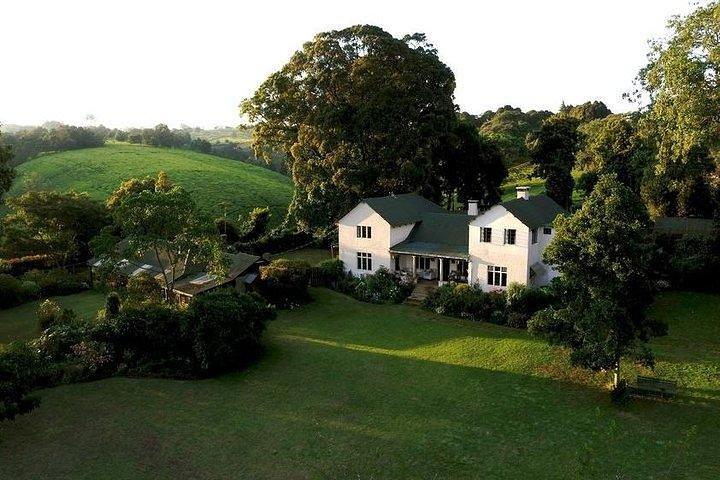 Day tour to Kiambethu tea farm in Limuru from Nairobi