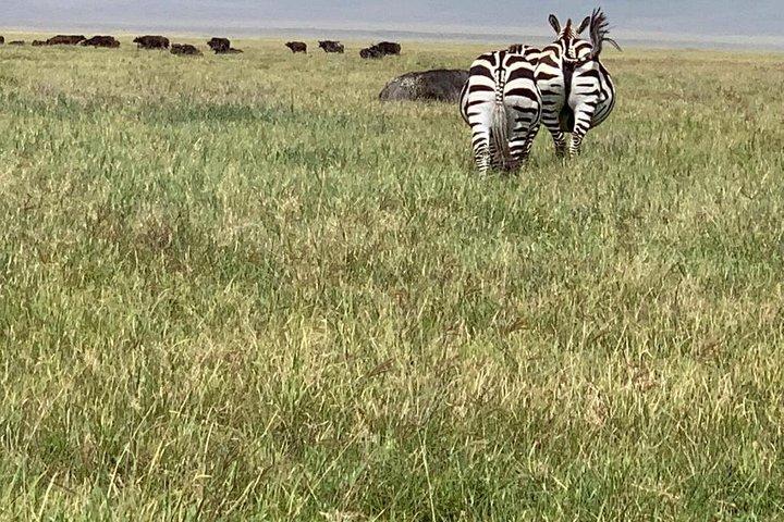 4-Day Camping Safari Including Serengeti & Ngorongoro